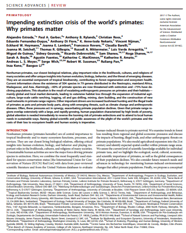 Why Primates Matter